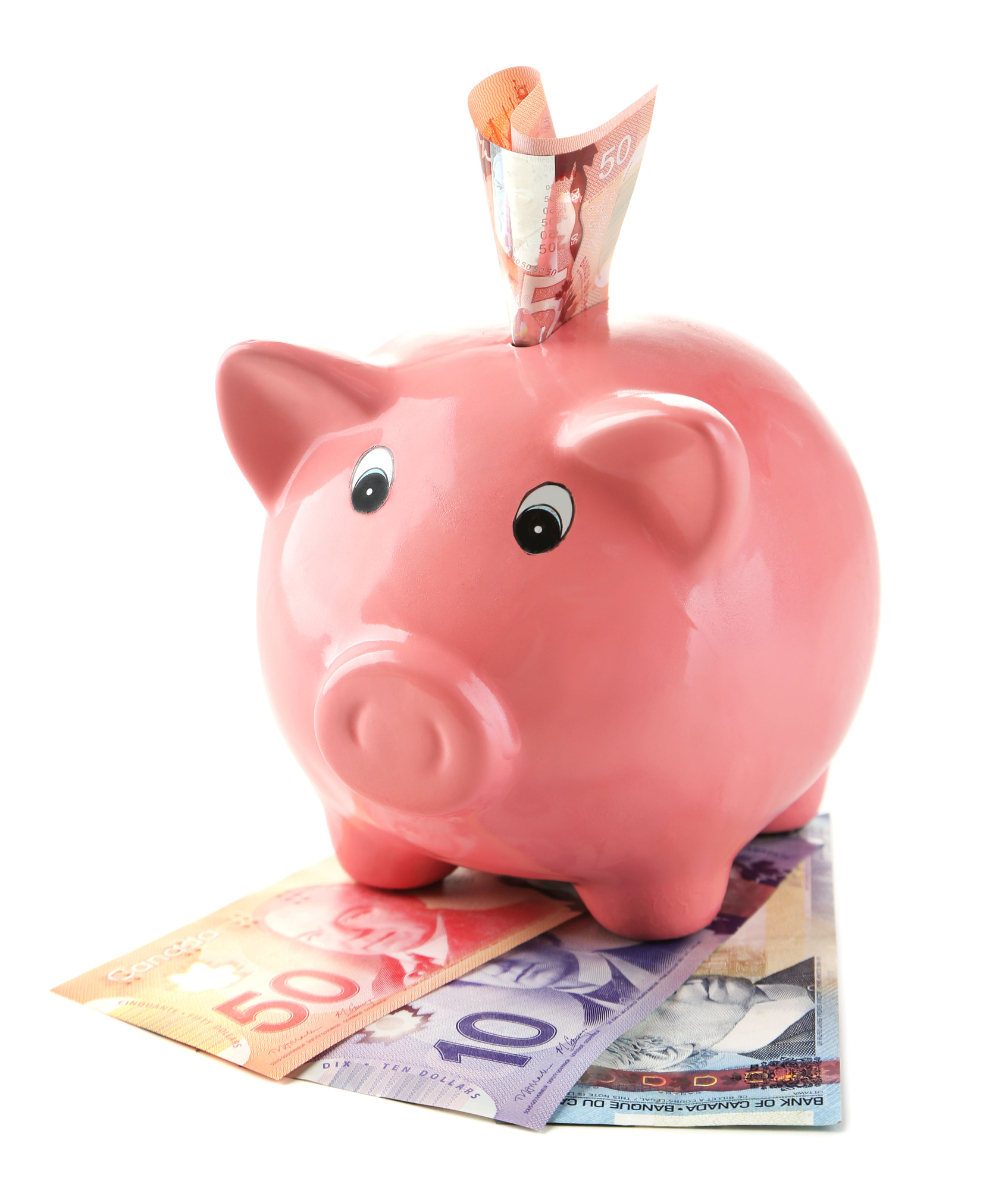 Piggy bank with Canadian dollars, isolated on white Divorce and Finances